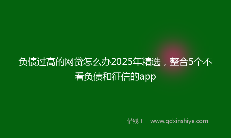 负债过高的网贷怎么办2025年精选，整合5个不看负债和征信的app