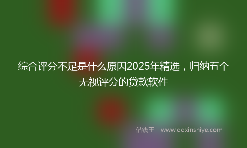 综合评分不足是什么原因2025年精选，归纳五个无视评分的贷款软件