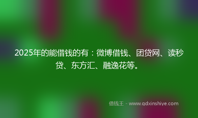 2025年的能借钱的有：微博借钱、团贷网、读秒贷、东方汇、融逸花等。