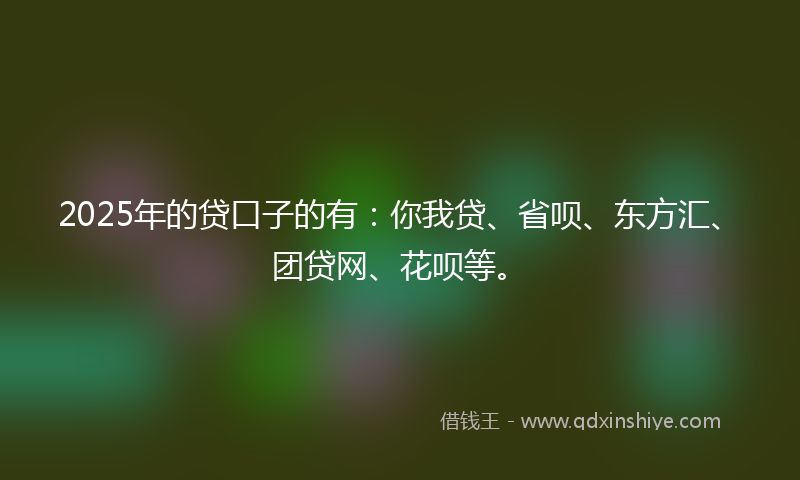 2025年的贷口子的有：你我贷、省呗、东方汇、团贷网、花呗等。