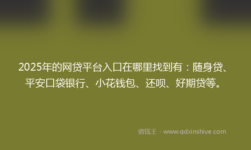 2025年的网贷平台入口在哪里找到有：随身贷、平安口袋银行、小花钱包、还呗、好期贷等。