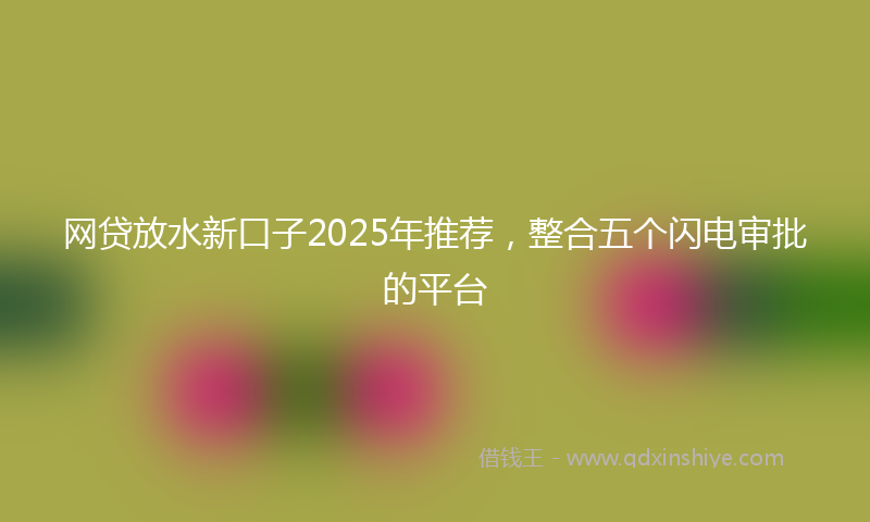 网贷放水新口子2025年推荐，整合五个闪电审批的平台