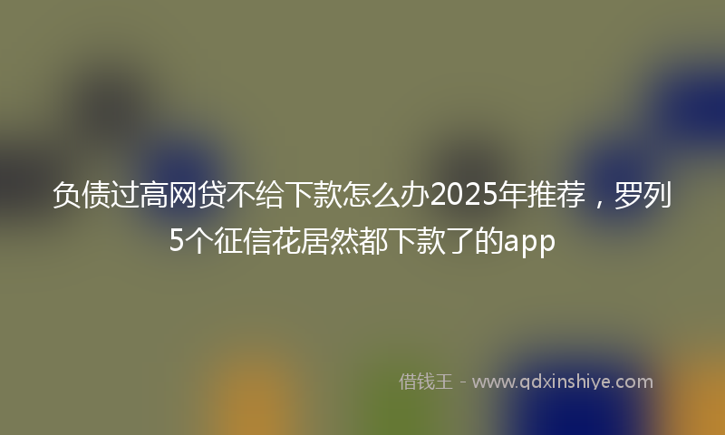 负债过高网贷不给下款怎么办2025年推荐，罗列5个征信花居然都下款了的app