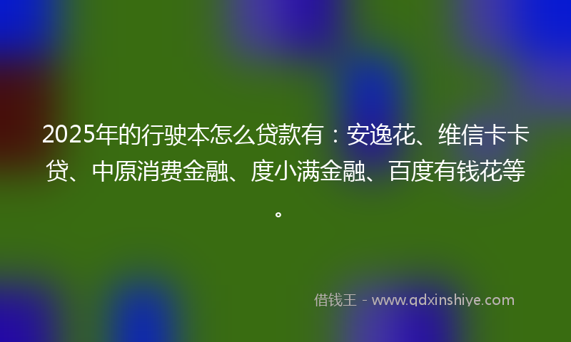 2025年的行驶本怎么贷款有：安逸花、维信卡卡贷、中原消费金融、度小满金融、百度有钱花等。