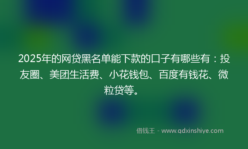 2025年的网贷黑名单能下款的口子有哪些有：投友圈、美团生活费、小花钱包、百度有钱花、微粒贷等。