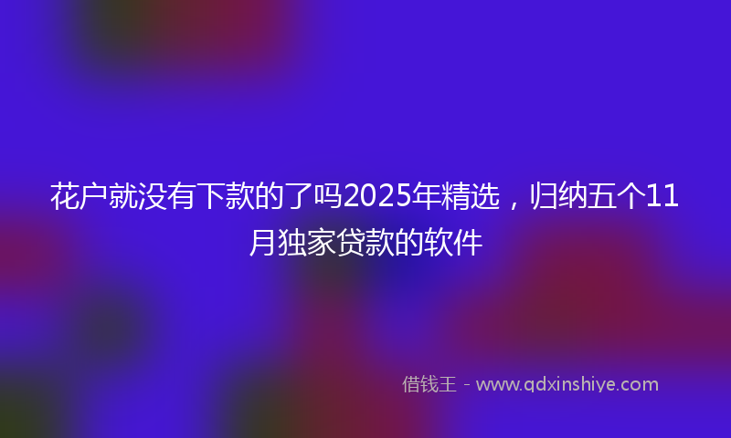 花户就没有下款的了吗2025年精选，归纳五个11月独家贷款的软件
