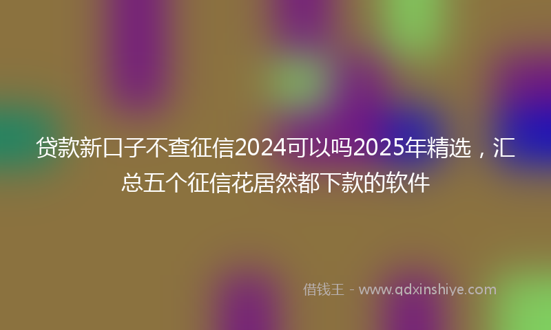 贷款新口子不查征信2024可以吗2025年精选，汇总五个征信花居然都下款的软件
