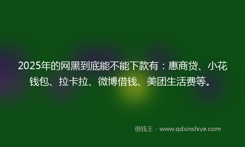 2025年的网黑到底能不能下款有：惠商贷、小花钱包、拉卡拉、微博借钱、美团生活费等。