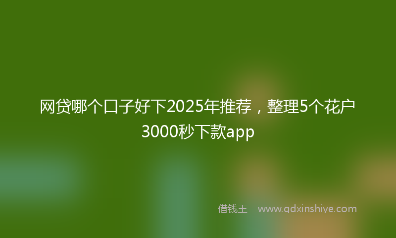 网贷哪个口子好下2025年推荐，整理5个花户3000秒下款app