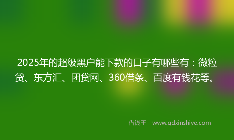 2025年的超级黑户能下款的口子有哪些有：微粒贷、东方汇、团贷网、360借条、百度有钱花等。