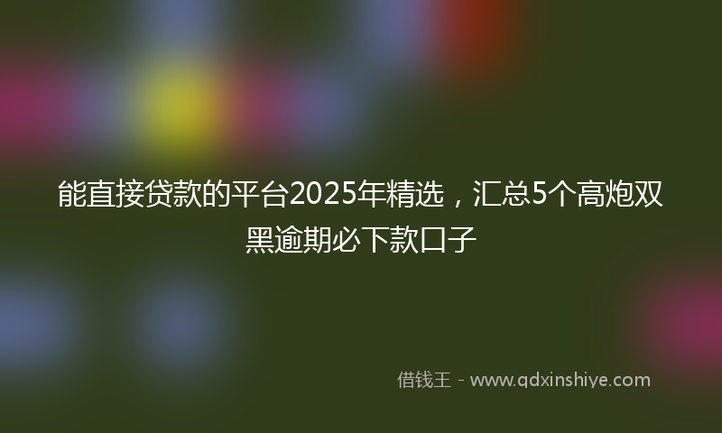 能直接贷款的平台2025年精选，汇总5个高炮双黑逾期必下款口子