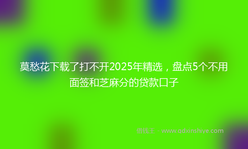 莫愁花下载了打不开2025年精选，盘点5个不用面签和芝麻分的贷款口子