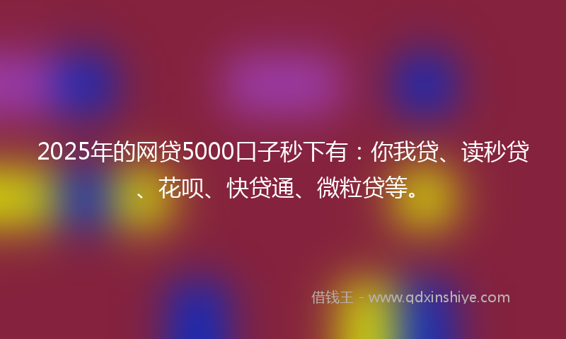 2025年的网贷5000口子秒下有：你我贷、读秒贷、花呗、快贷通、微粒贷等。