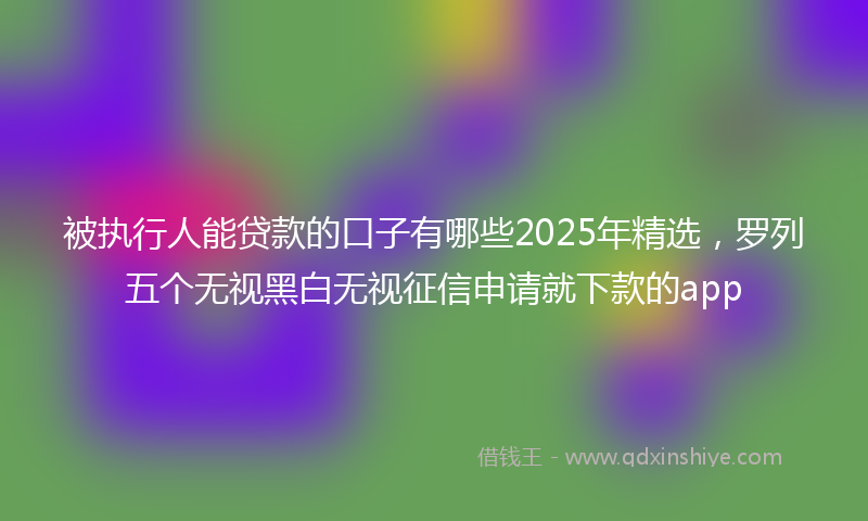 被执行人能贷款的口子有哪些2025年精选，罗列五个无视黑白无视征信申请就下款的app