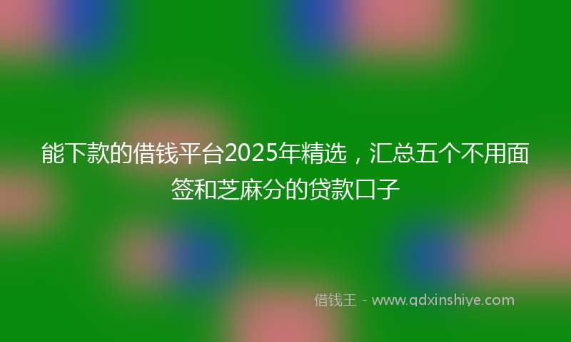 能下款的借钱平台2025年精选，汇总五个不用面签和芝麻分的贷款口子