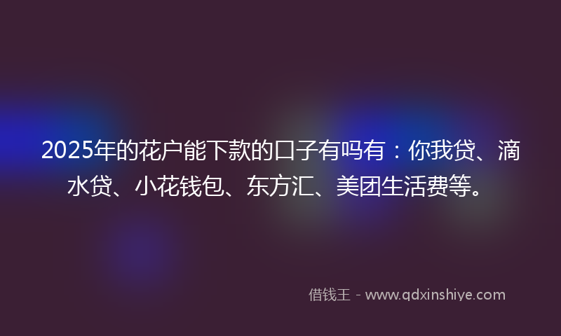2025年的花户能下款的口子有吗有：你我贷、滴水贷、小花钱包、东方汇、美团生活费等。