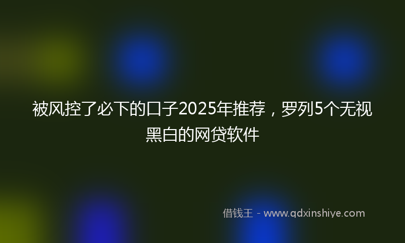 被风控了必下的口子2025年推荐，罗列5个无视黑白的网贷软件