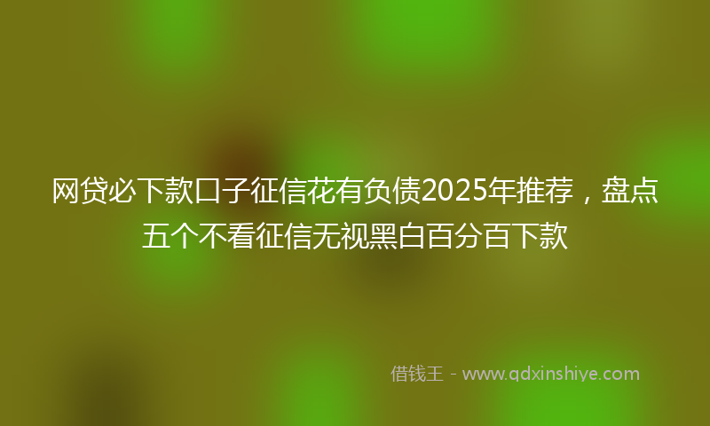 网贷必下款口子征信花有负债2025年推荐，盘点五个不看征信无视黑白百分百下款