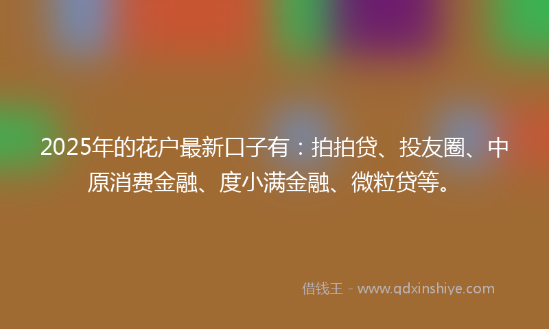 2025年的花户最新口子有：拍拍贷、投友圈、中原消费金融、度小满金融、微粒贷等。