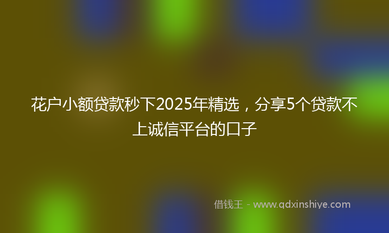 花户小额贷款秒下2025年精选，分享5个贷款不上诚信平台的口子