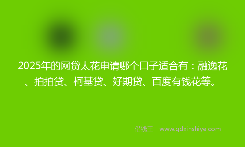 2025年的网贷太花申请哪个口子适合有：融逸花、拍拍贷、柯基贷、好期贷、百度有钱花等。
