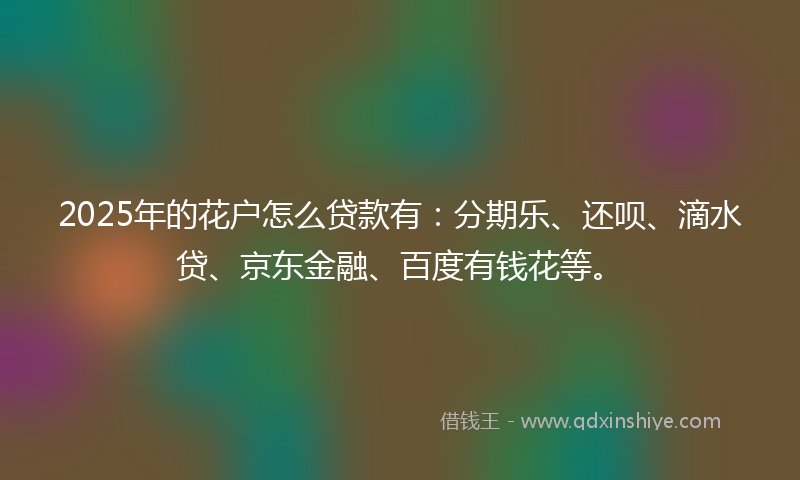 2025年的花户怎么贷款有：分期乐、还呗、滴水贷、京东金融、百度有钱花等。