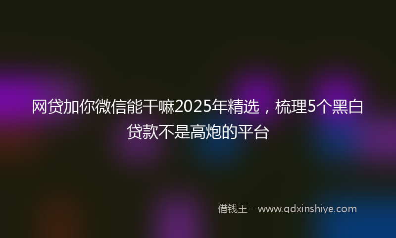 网贷加你微信能干嘛2025年精选，梳理5个黑白贷款不是高炮的平台