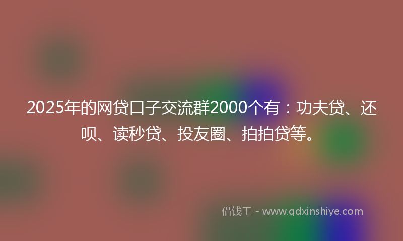 2025年的网贷口子交流群2000个有：功夫贷、还呗、读秒贷、投友圈、拍拍贷等。