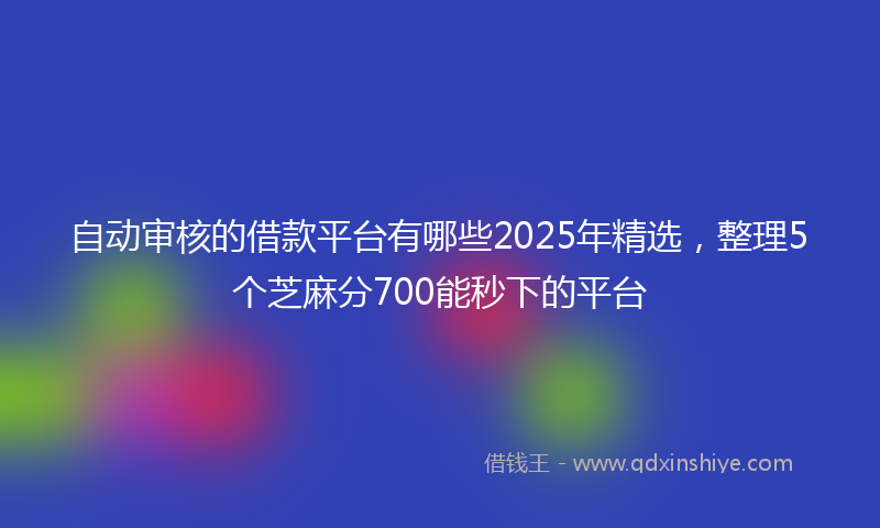自动审核的借款平台有哪些2025年精选，整理5个芝麻分700能秒下的平台
