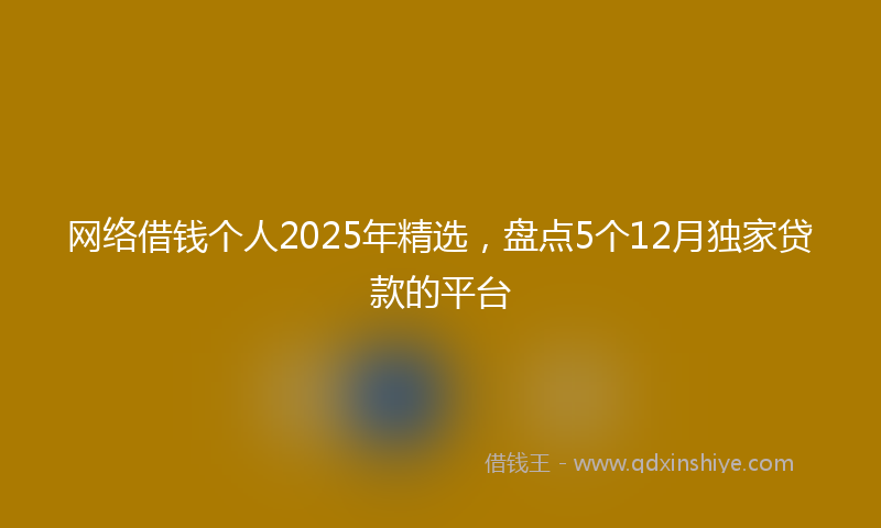 网络借钱个人2025年精选，盘点5个12月独家贷款的平台