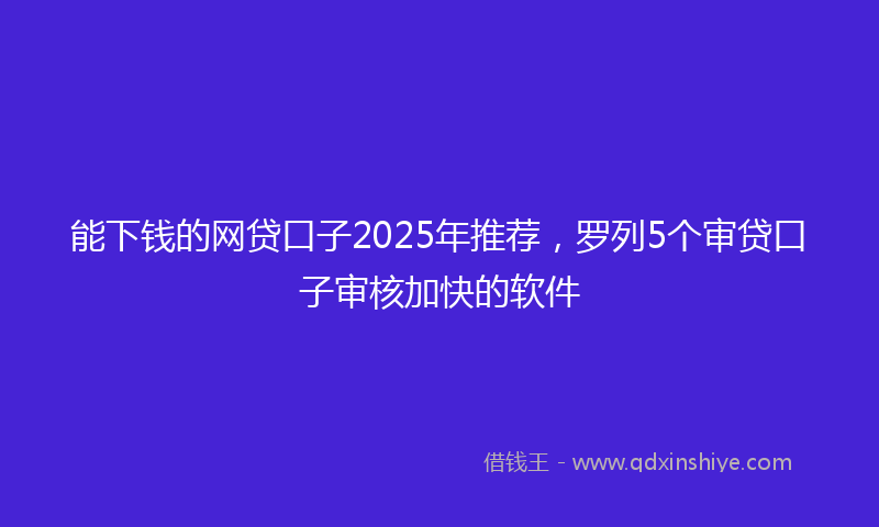 能下钱的网贷口子2025年推荐，罗列5个审贷口子审核加快的软件
