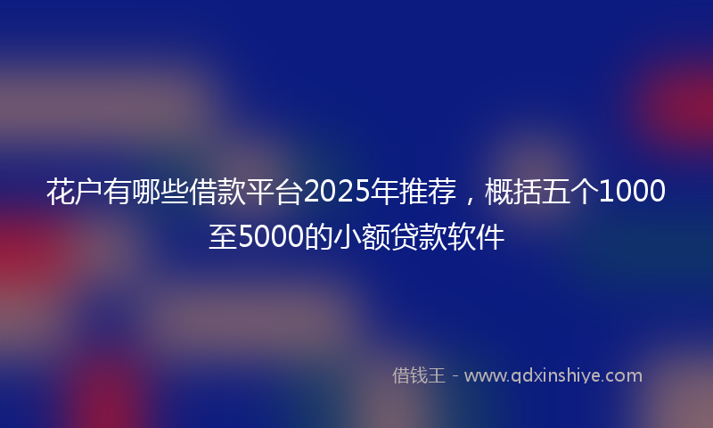 花户有哪些借款平台2025年推荐，概括五个1000至5000的小额贷款软件