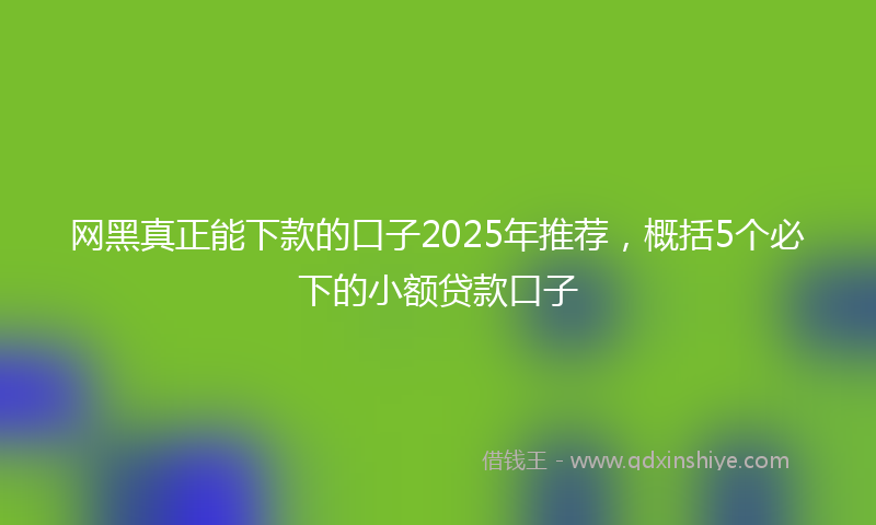 网黑真正能下款的口子2025年推荐，概括5个必下的小额贷款口子