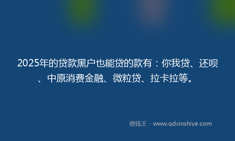 2025年的贷款黑户也能贷的款有：你我贷、还呗、中原消费金融、微粒贷、拉卡拉等。