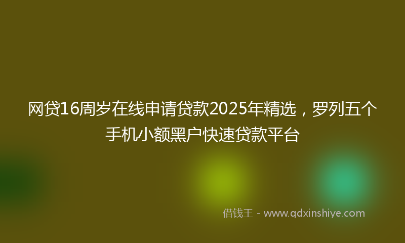 网贷16周岁在线申请贷款2025年精选，罗列五个手机小额黑户快速贷款平台