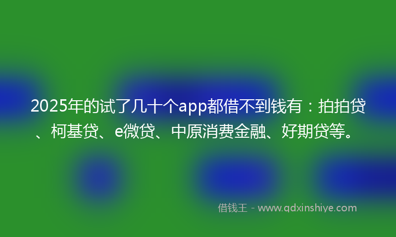 2025年的试了几十个app都借不到钱有：拍拍贷、柯基贷、e微贷、中原消费金融、好期贷等。