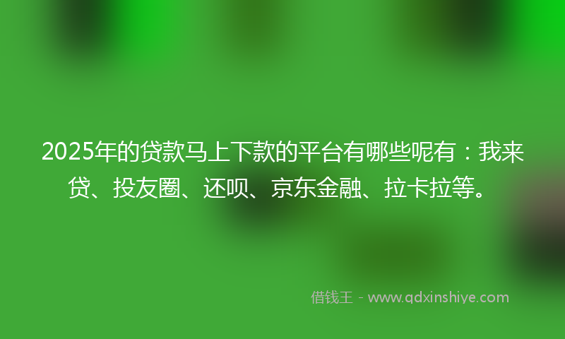 2025年的贷款马上下款的平台有哪些呢有：我来贷、投友圈、还呗、京东金融、拉卡拉等。