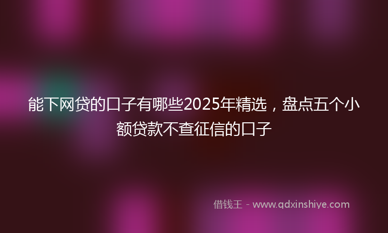 能下网贷的口子有哪些2025年精选，盘点五个小额贷款不查征信的口子