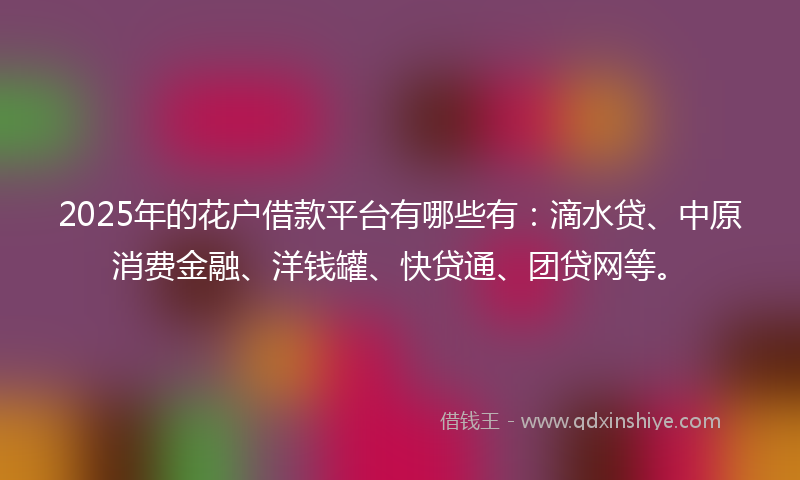 2025年的花户借款平台有哪些有：滴水贷、中原消费金融、洋钱罐、快贷通、团贷网等。