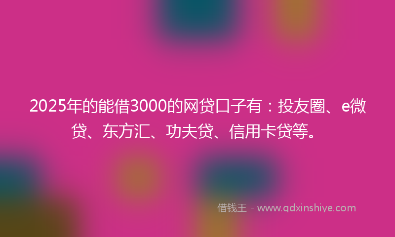 2025年的能借3000的网贷口子有：投友圈、e微贷、东方汇、功夫贷、信用卡贷等。