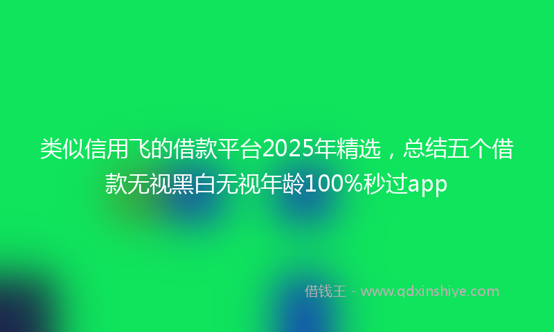 类似信用飞的借款平台2025年精选，总结五个借款无视黑白无视年龄100%秒过app