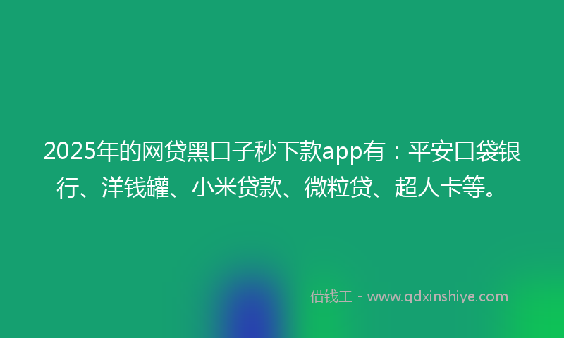 2025年的网贷黑口子秒下款app有：平安口袋银行、洋钱罐、小米贷款、微粒贷、超人卡等。