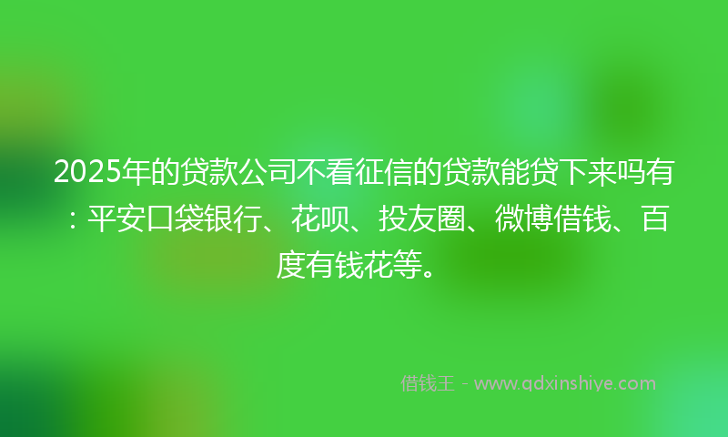 2025年的贷款公司不看征信的贷款能贷下来吗有：平安口袋银行、花呗、投友圈、微博借钱、百度有钱花等。