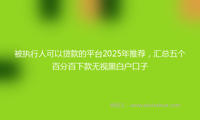 被执行人可以贷款的平台2025年推荐，汇总五个百分百下款无视黑白户口子