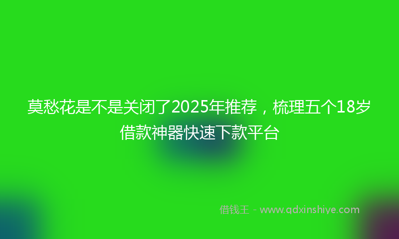 莫愁花是不是关闭了2025年推荐，梳理五个18岁借款神器快速下款平台
