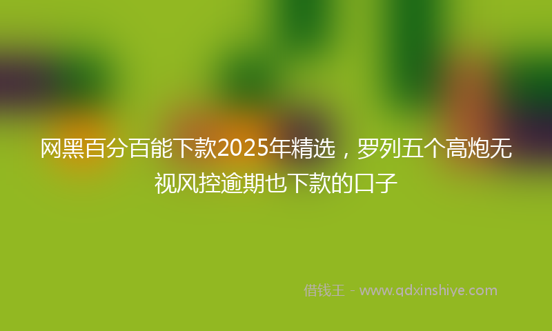 网黑百分百能下款2025年精选，罗列五个高炮无视风控逾期也下款的口子