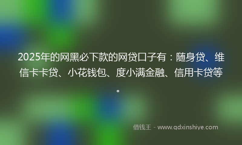 2025年的网黑必下款的网贷口子有：随身贷、维信卡卡贷、小花钱包、度小满金融、信用卡贷等。