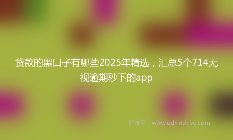 贷款的黑口子有哪些2025年精选，汇总5个714无视逾期秒下的app