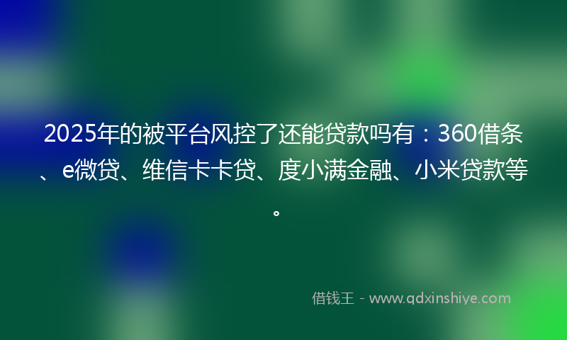 2025年的被平台风控了还能贷款吗有：360借条、e微贷、维信卡卡贷、度小满金融、小米贷款等。