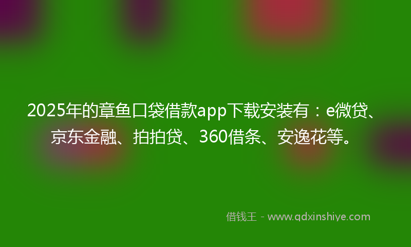 2025年的章鱼口袋借款app下载安装有：e微贷、京东金融、拍拍贷、360借条、安逸花等。